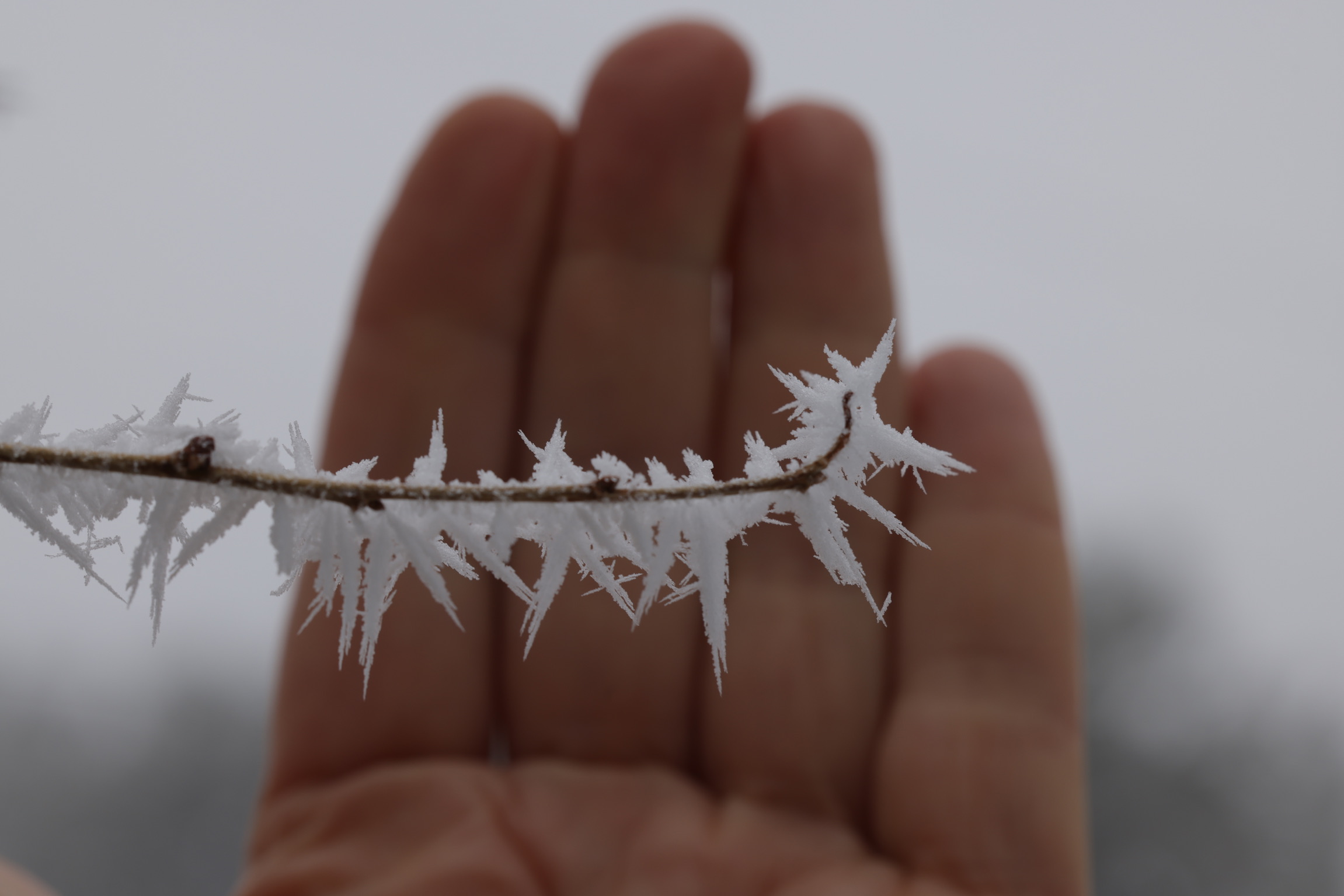hand with snow crystals